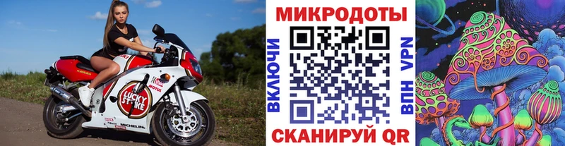 Псилоцибиновые грибы ЛСД  Западная Двина 